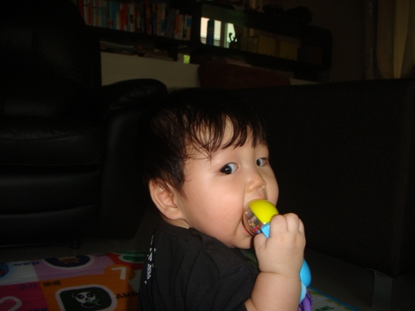 DSC03524.JPG